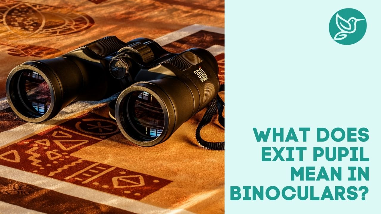 What does exit pupil mean in binoculars?