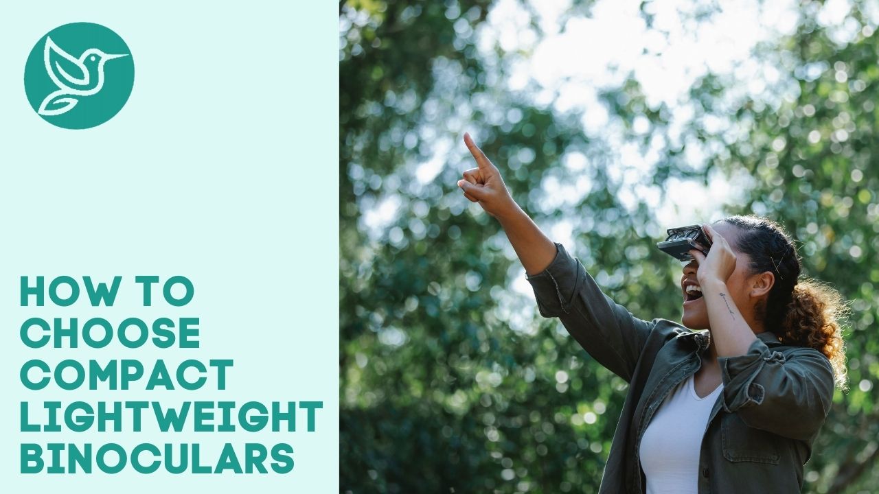 How to choose the best lightweight binoculars for bird watching