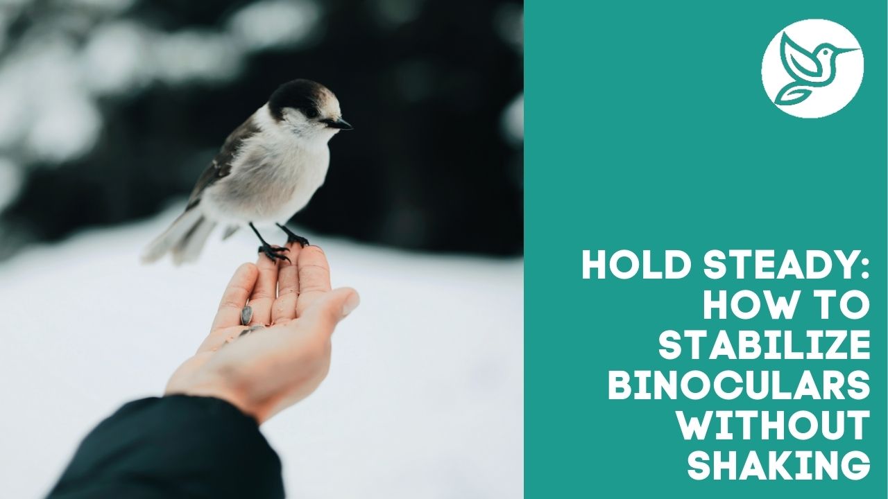 Hold steady how to stabilize binoculars without shaking