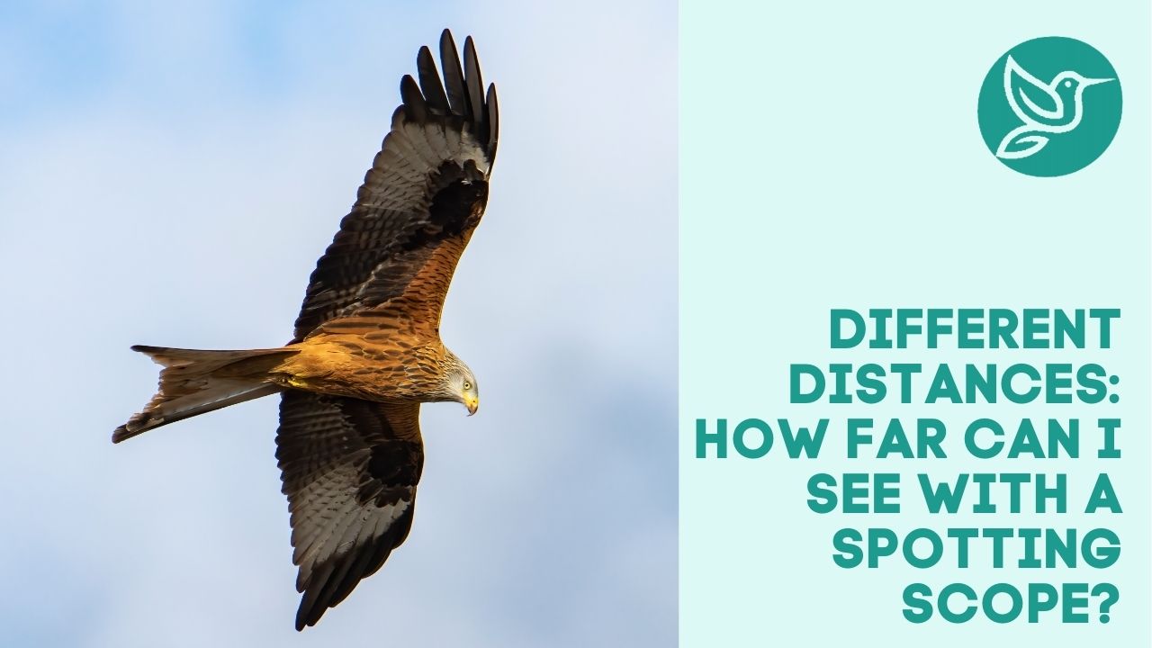 Different distances How far can I see with a spotting scope?