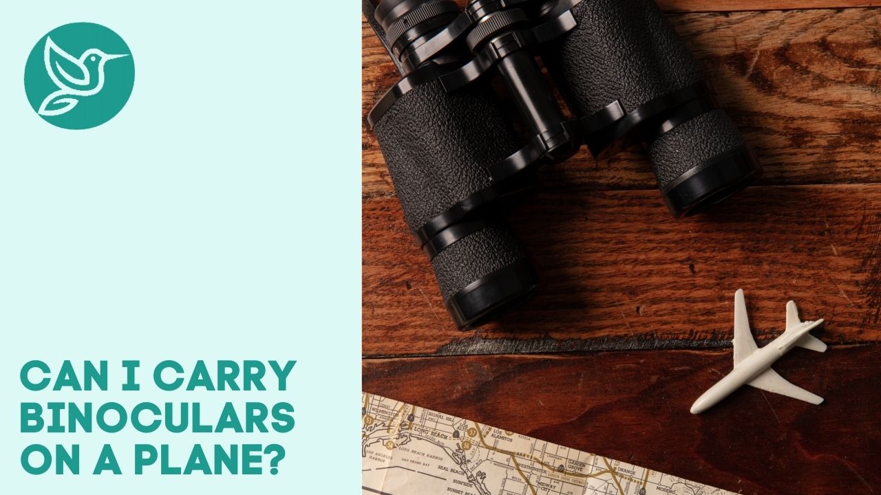 Can I carry binoculars on a plane?