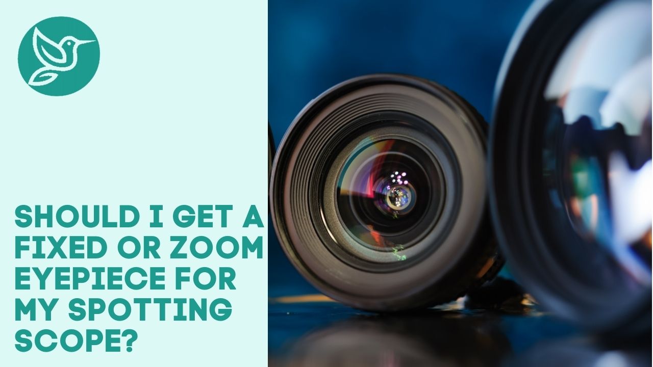Should I get a fixed or zoom eyepiece for my spotting scope?