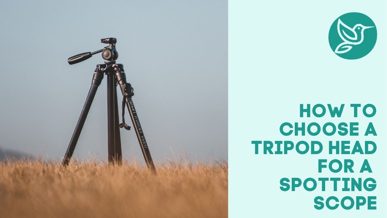 How to choose a tripod head for a spotting scope