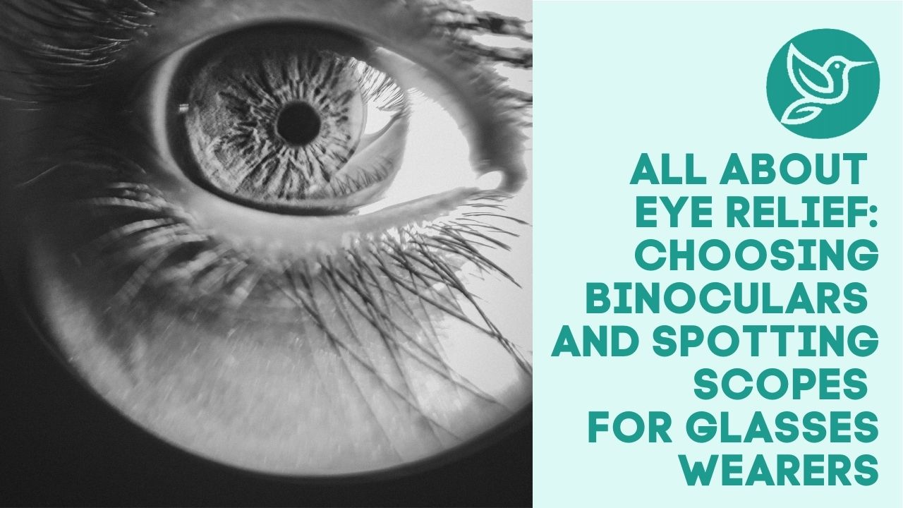 All about eye relief choosing binoculars and spotting scopes for glasses wearers