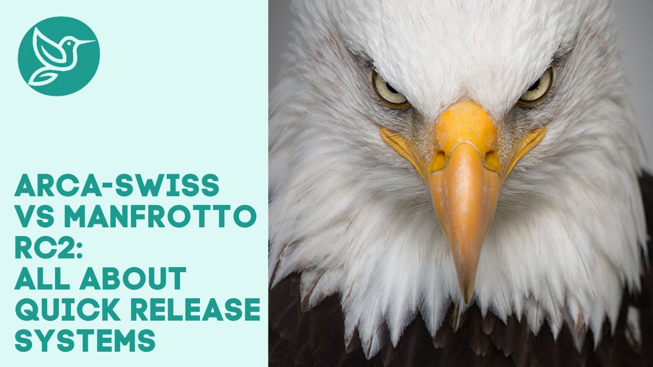 ArcaSwiss vs Manfrotto RC2 all about quick release systems