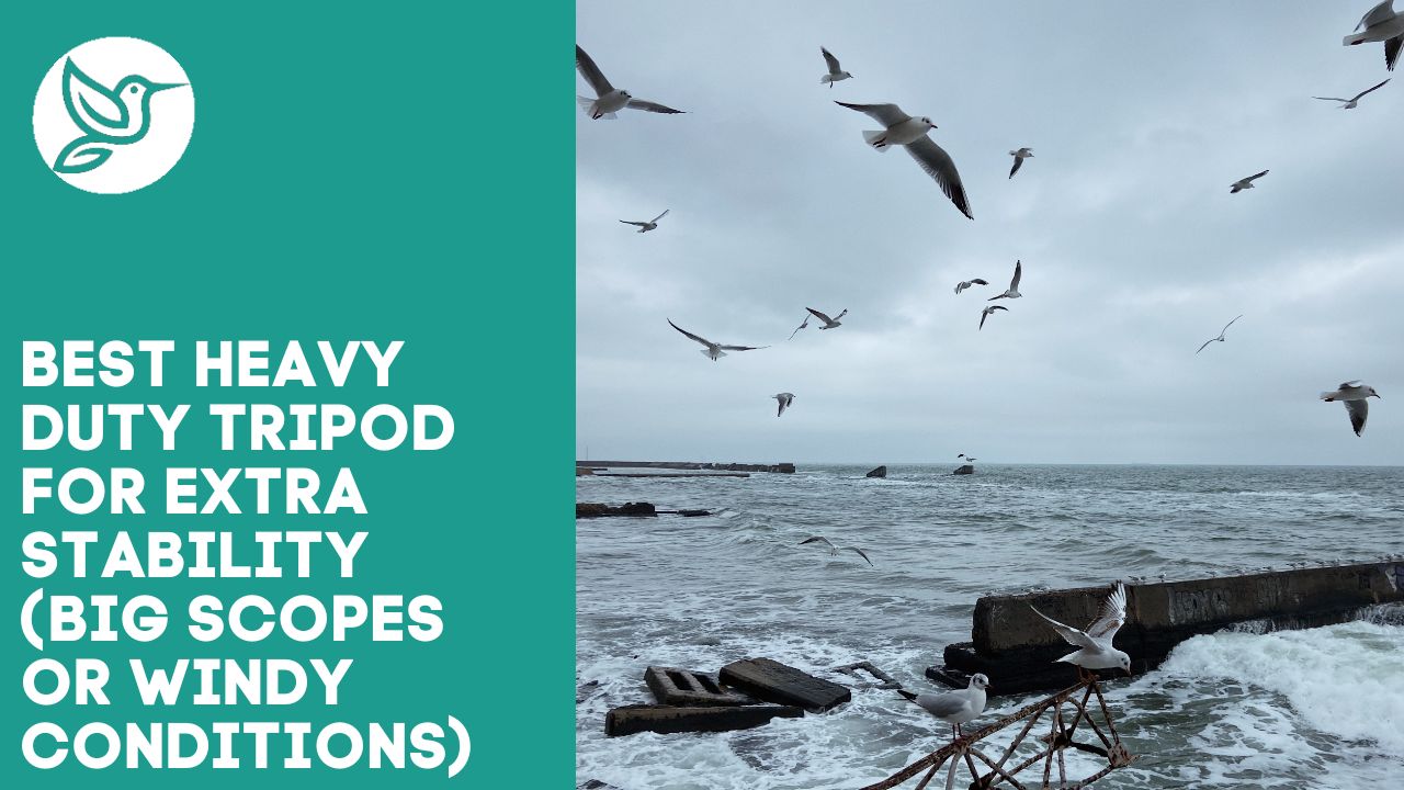 Best heavy duty tripod for extra stability (big scopes or windy conditions)