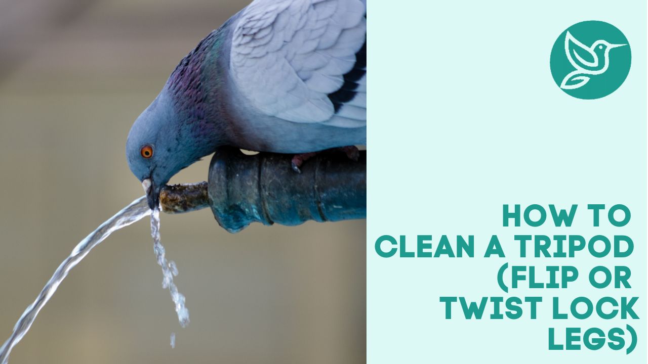 How to clean a tripod (flip or twist lock legs)