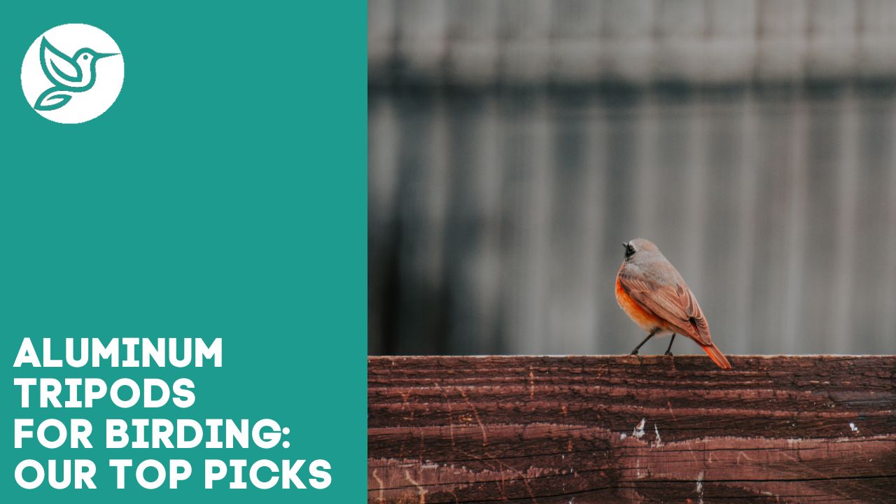 Aluminum tripods top picks for birding spotting scopes