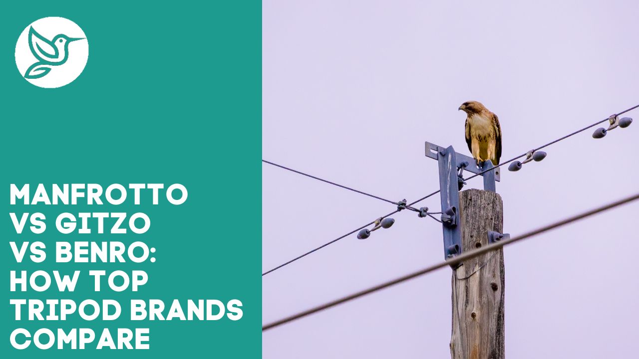 Manfrotto vs Gitzo vs Benro how top tripod brands compare