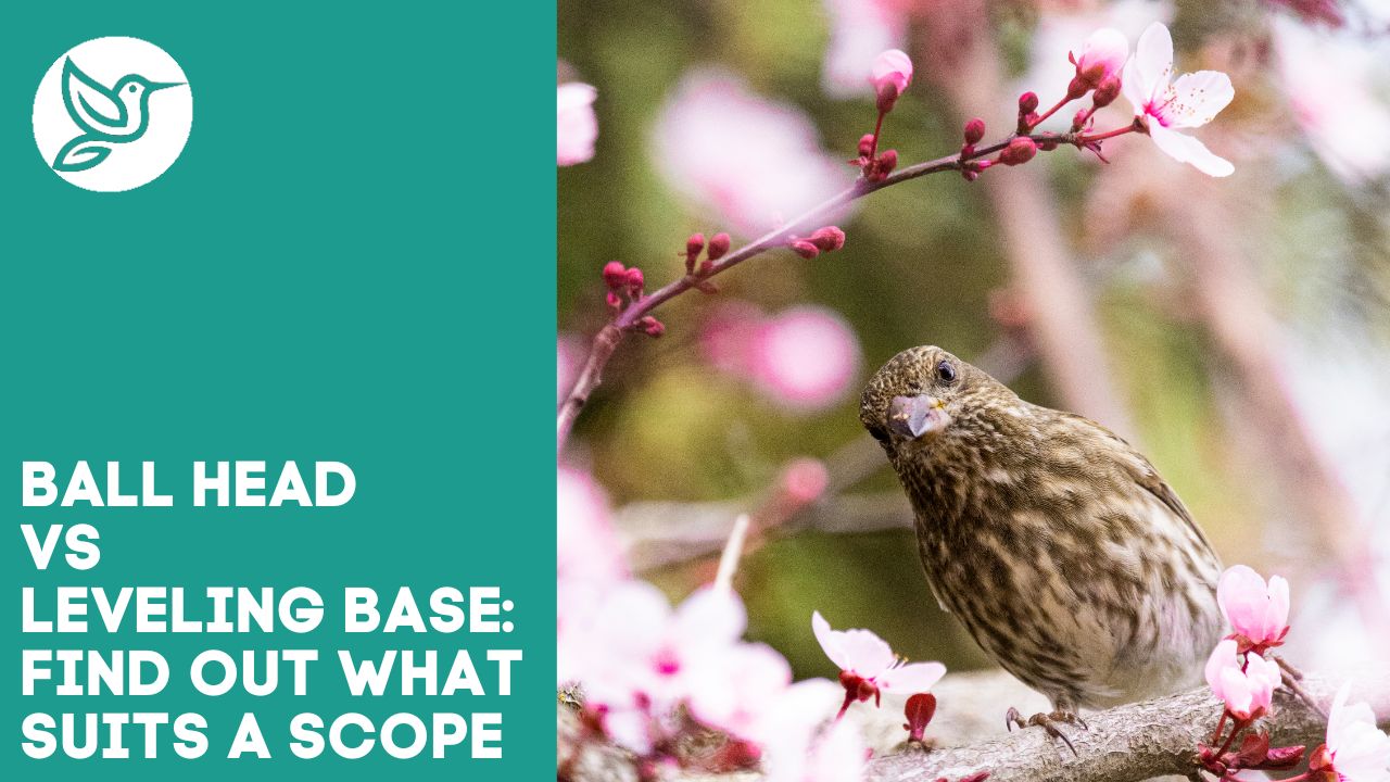 Ball head vs leveling base find out what suits a scope