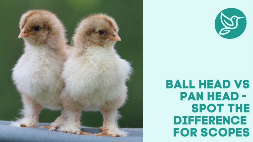 Pan head tripod heads