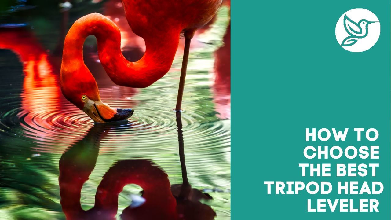 How to choose the best tripod head leveler