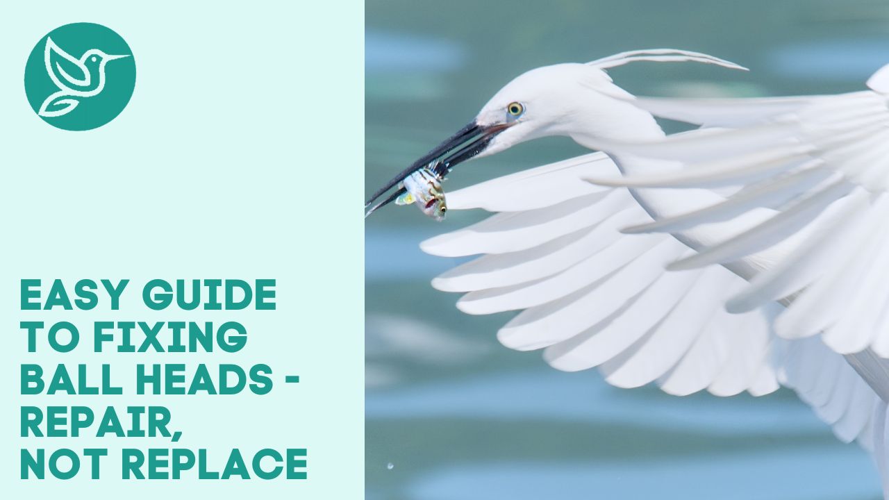 Easy guide to fixing ball heads repair, not replace