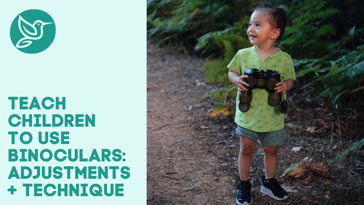 Teach children to use binoculars adjustments + technique